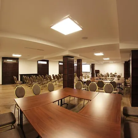 Hotel Gabriela Viseu de Sus