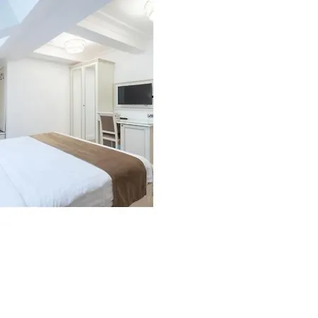 Hotel Gabriela Viseu de Sus